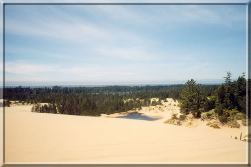 View Toward The Beach